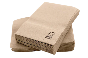 Eco Paper Napkins